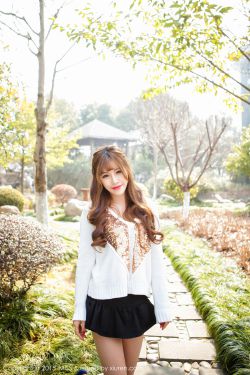 杀破狼在线观看